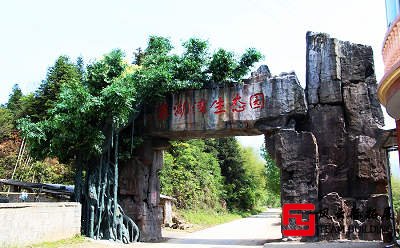 靖安象湖灣生態公園團建拓展活動