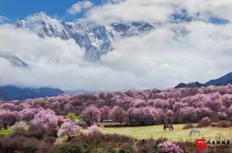 國內旅行團建