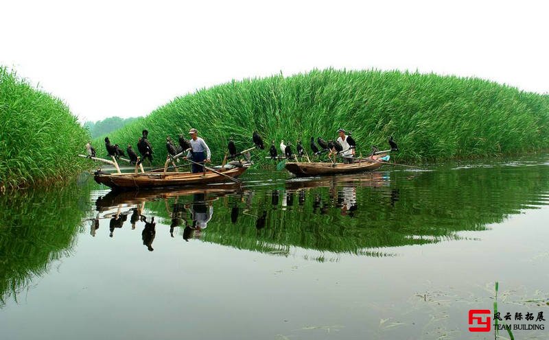 白洋淀團建