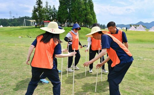 學生職場能力團隊拓展訓練活動感言